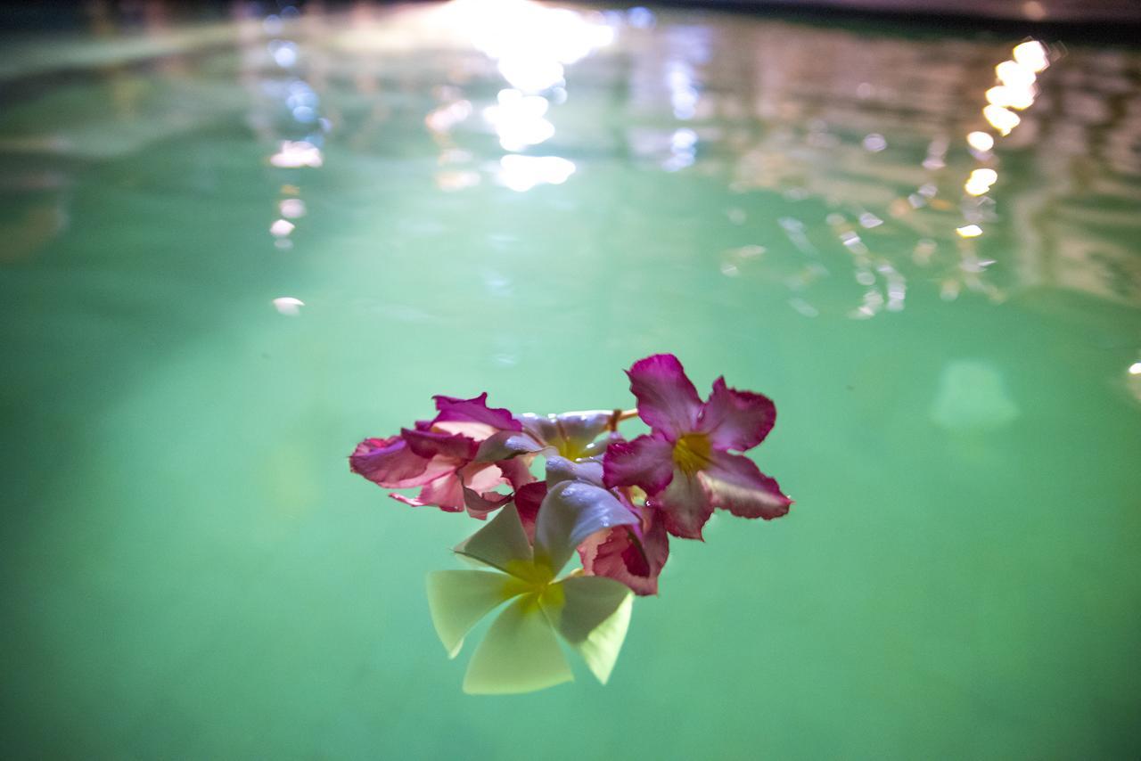 Green Diamond Villa Gili Trawangan Extérieur photo